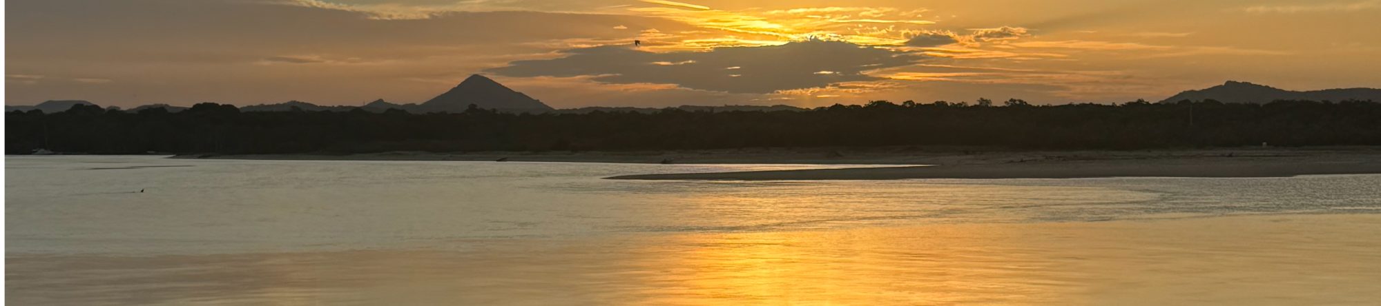 Holistic Counsellor | Writer | Horsewoman